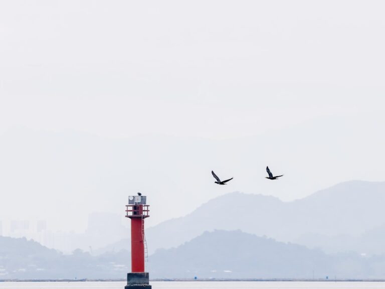 Essential Tips for Traveling Smart and Stress-Free