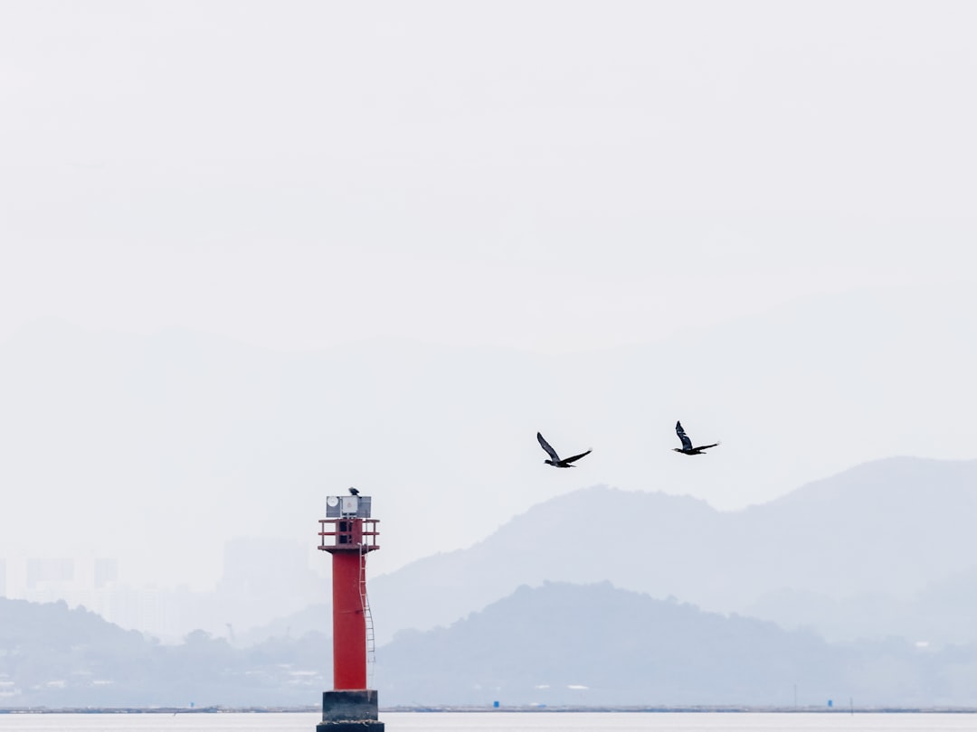 blog_2